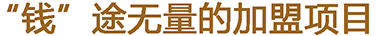 燃气壁挂炉加盟