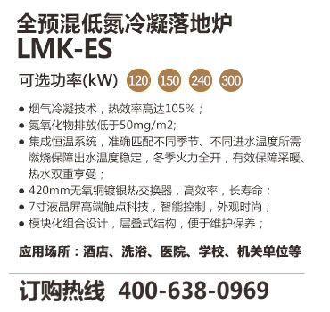 低氮冷凝模块炉（LMK-ES）
